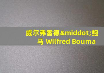 威尔弗雷德·鲍马 Wilfred Bouma